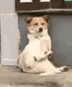 企业取名逻辑,公司起名的重要性