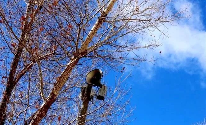 援鄂医护工作者日记,援鄂抗疫日记