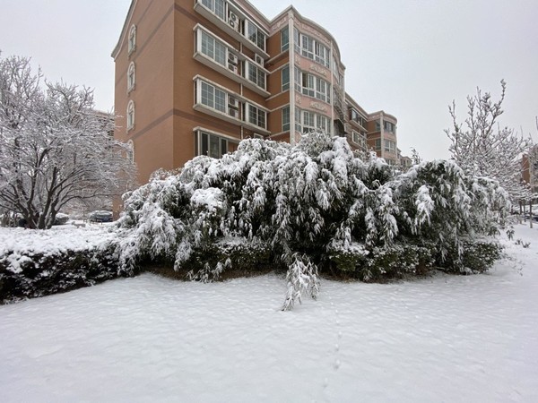 用了两年的苹果11promax续航,苹果11promax和12promax续航对比