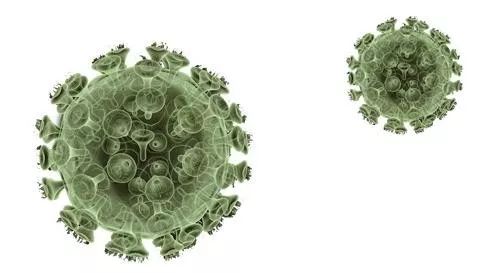 只需60秒，科学来抗疫！詹士·聪查理·茵有“套路”