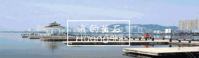 电子客票退票的代码,网上退票的手续费有报销凭证么