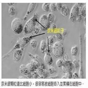 水产养殖纳米银在什么时候才能用,纳米银在水产上作用