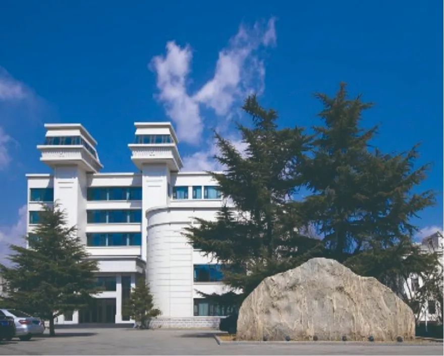 鲁泰纺织发展规划,鲁泰纺织对外投资