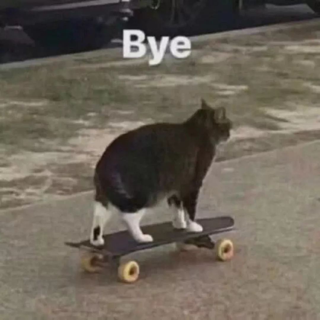 这个被李佳琦夸上天的国货，真的别买...