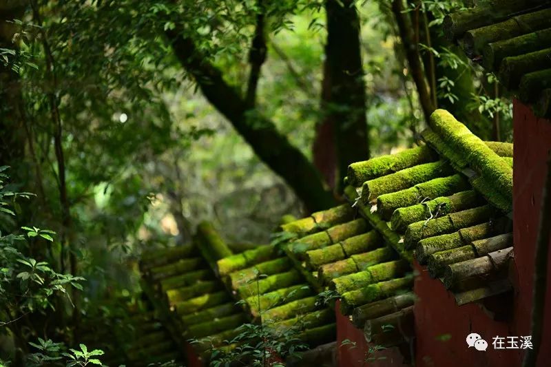 秀山公园恢复接待游客疫情期间门票半价