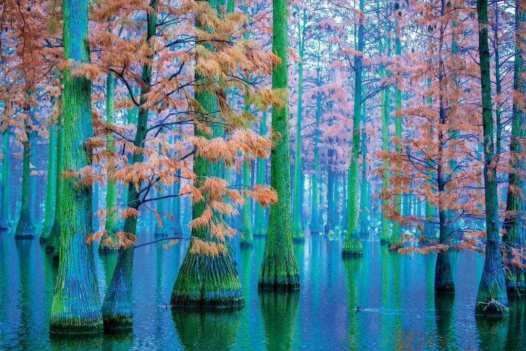 湖北不是只有武汉,湖北哪里跟武汉最近