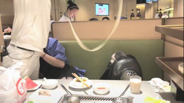 网红餐厅摆拍作秀视频,网红餐厅出圈名场面