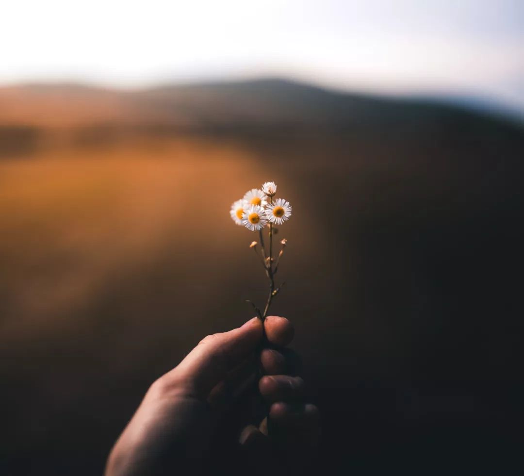 给每个人的建议:在重大创伤面前“情绪自救”