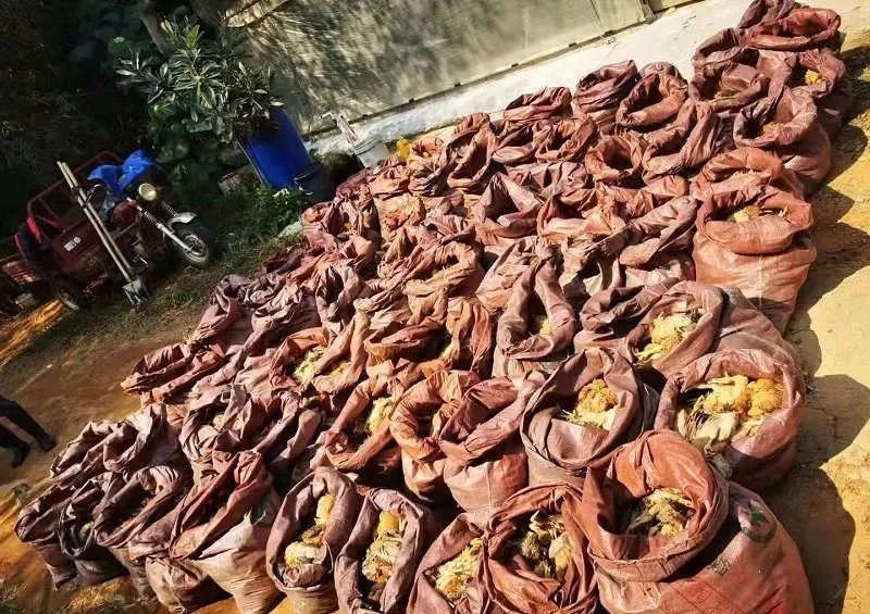 居家隔离第七天记录生活,居家隔离21天的15条教训