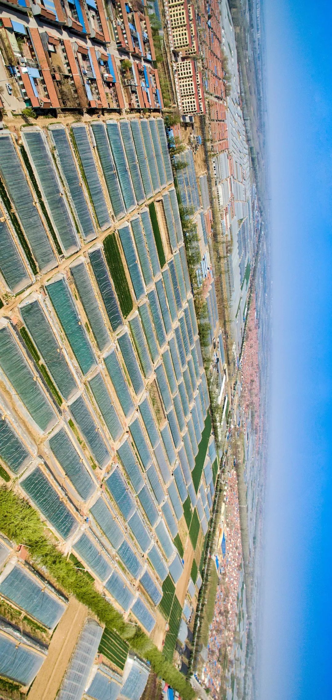 一送最少几十吨,支援湖北的背后是世界第一硬核蔬菜大国……