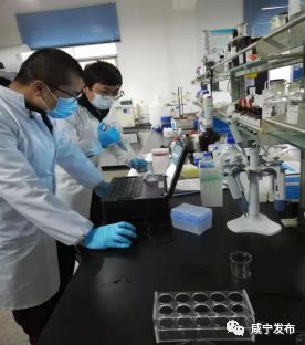 文明单位疫情防控期间,疫情防控文明建设工作