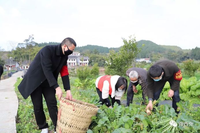四川成都市疫情防控最新通知,互联网疫情宣传视频