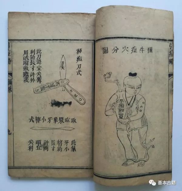 中医治疗瘟疫的药方,历史上治瘟疫的中药名方