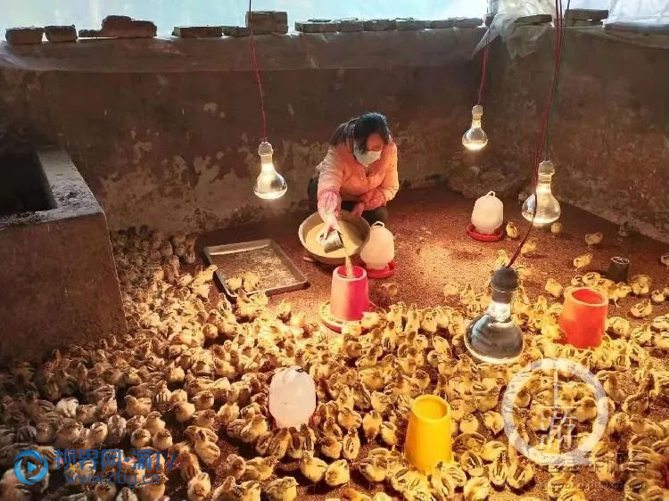 重庆志愿者抗击新冠病毒 (重庆市抗击新冠病毒最美志愿者)