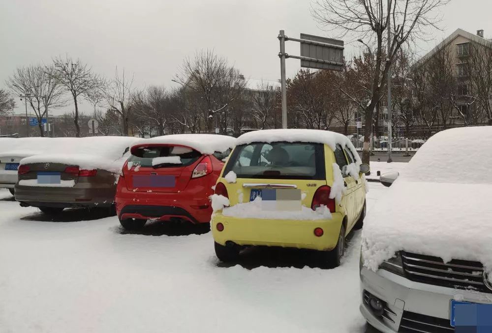 汽势焦点｜微调查：你的车多久没挪过窝了？车会停“坏”么