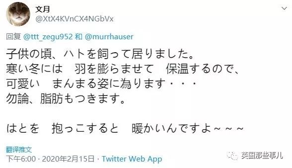 同样是冬天胖成球，凭什么鸟球就这么可爱