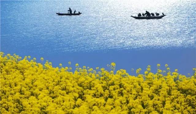 多希望睡醒一觉,多希望睡醒以后有惊喜