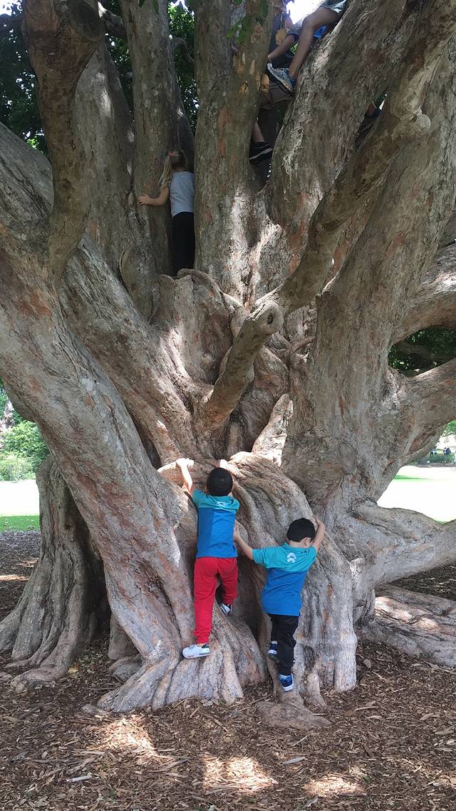 澳大利亚大洋路两日游,自由行墨尔本及悉尼