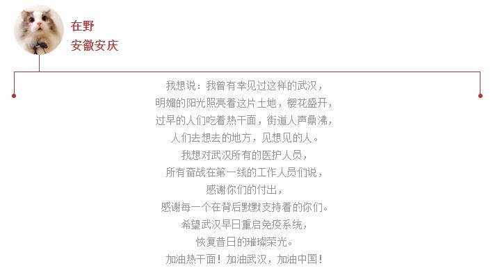 感动！全球100位网友共同发声！To武汉的心愿你听到了吗