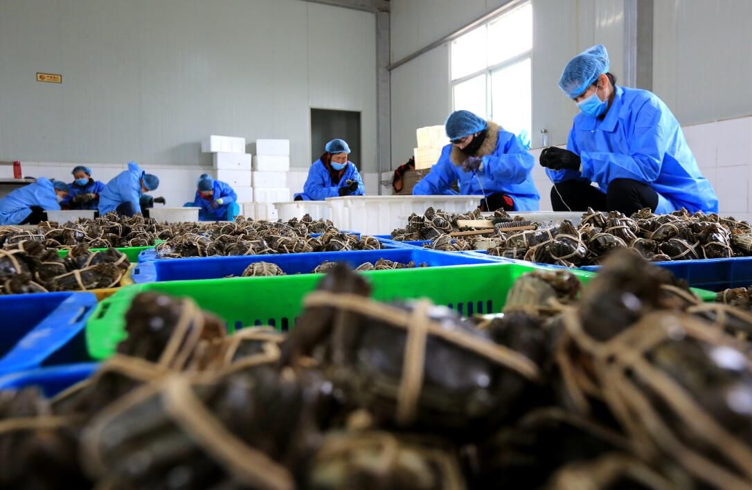 “内购”+外销！螃蟹不愁卖，他们有绝招