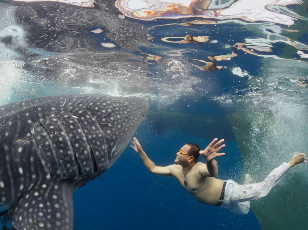 天启和天罚哪个好看,天罚好还是天启好