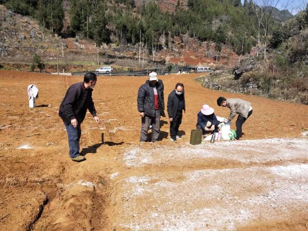 全力构筑抗疫网络安全屏障,支援基层防疫共筑平安防线