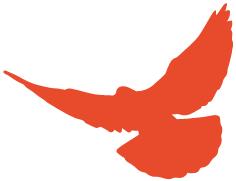 互助社诈骗案,关于互助县电信诈骗案