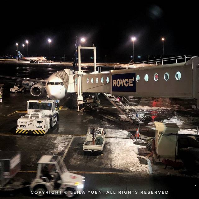 日本购买新冠口罩,去日本买口罩的便宜吗