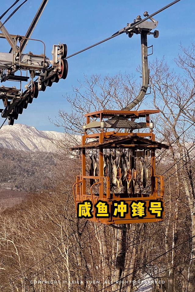 日本购买新冠口罩,去日本买口罩的便宜吗