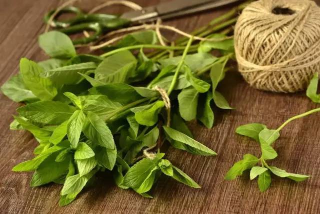 呼噜娃创作原声,呼噜娃完整视频