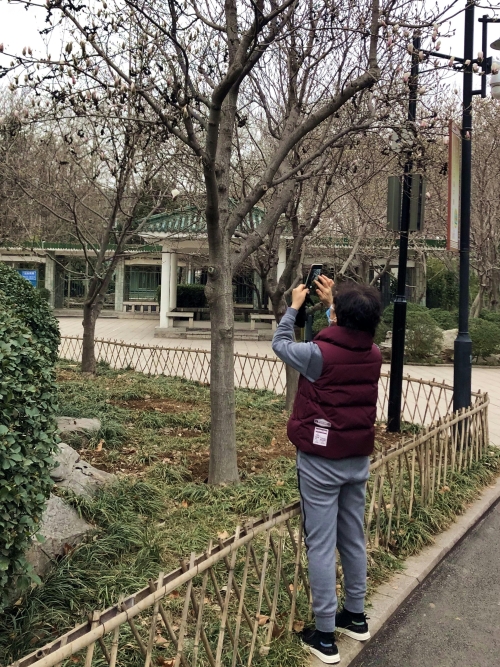 济南疫情期间公园对外开放,济南湿地公园疫情开放了吗