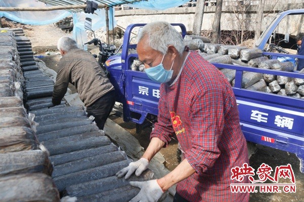 不负春光赶农时,不负农时抢鲜上市