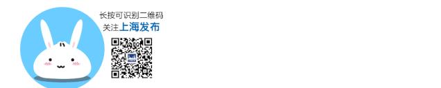 重磅武宁路改建最新消息,武宁路快速路规划图