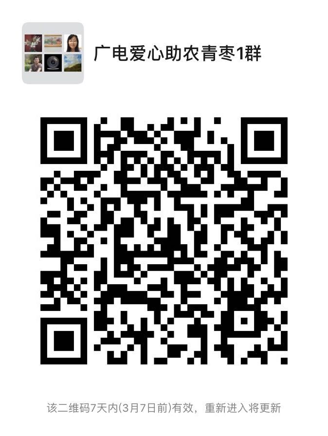 惠民社工助力蔬菜大棚销售,果农滞销爱心助农