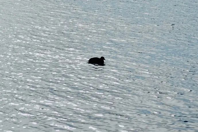 上个月视频回顾,上月精彩视频回顾