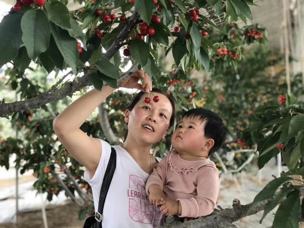 高密好玩,高密旅游怎么样