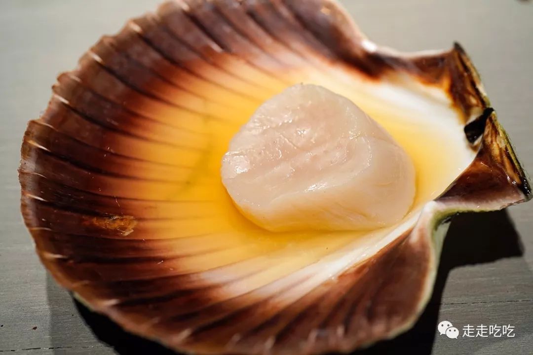 又是一年温故知新时|走走吃吃的2019-下篇