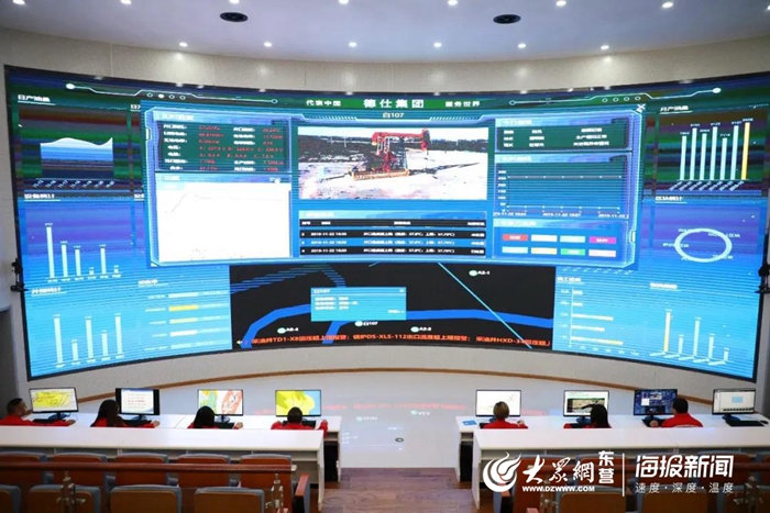 东营德仕集团是做什么的,山东省东营市德仕集团