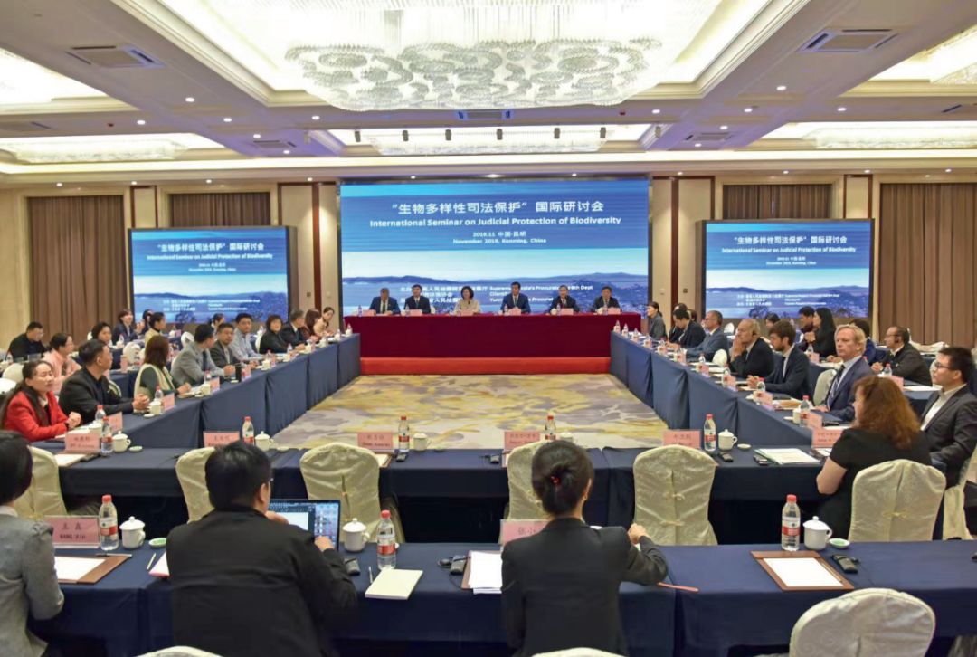 盗猎洗白？离野生动物远一点！检察机关出手，保护生物多样性