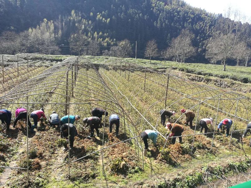 在疫情防控一线淬炼,严抓严管选派干部