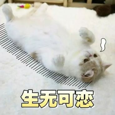 疫情下的38度朋友圈,微信朋友圈38条