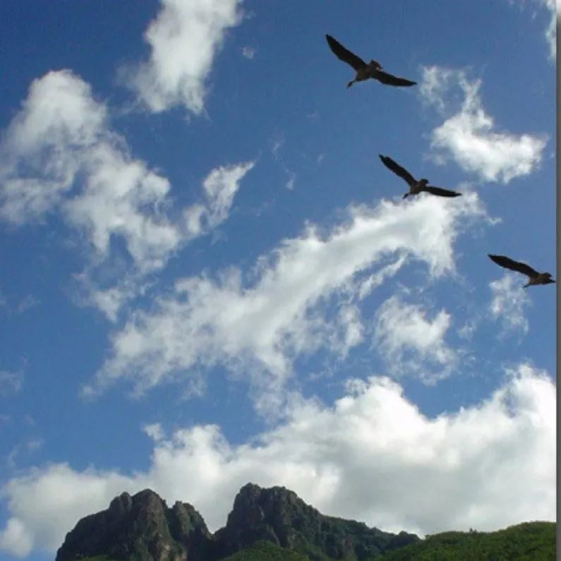 微信朋友圈38条,疫情下的38度朋友圈