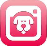 喵喵记账应用分享,喵喵记账app封面