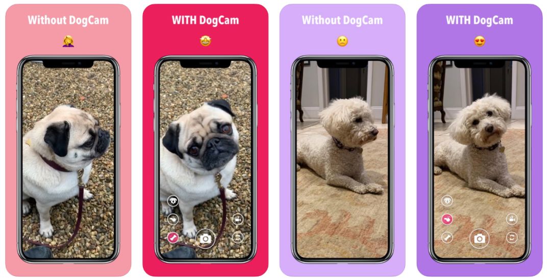 喵喵记账的app,苹果版喵喵记账