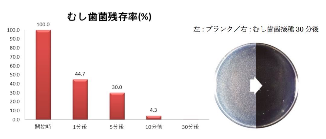 口罩去口臭的好物,口罩如何防口臭