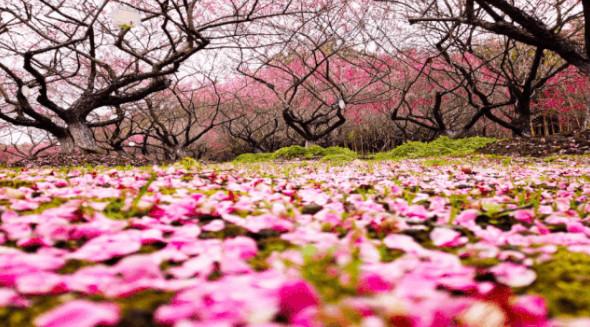 东方绿舟免费开放时间,东方绿舟闭馆时间