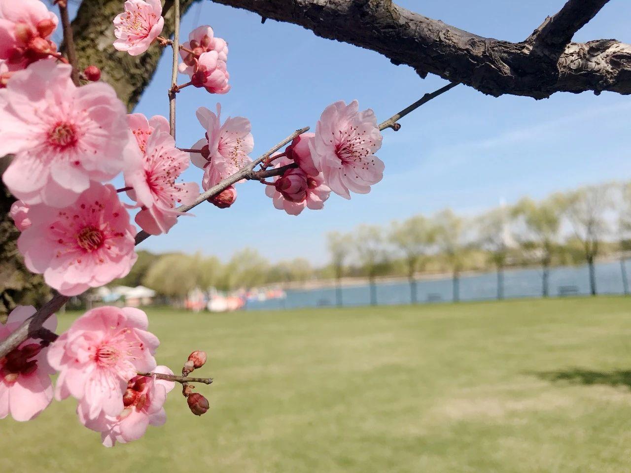 东方绿舟游玩项目要排队吗,东方绿舟最新开放时间