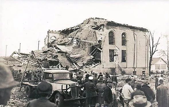 长颈鹿的角是犄角吗,长颈鹿的角