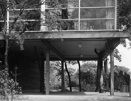 一起来植树的视频,今天适合植树吗