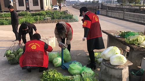 又是一年春来早家乡景色,又是一年春来早万物逢春在今朝
